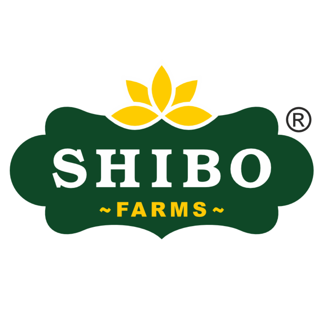 Shibo